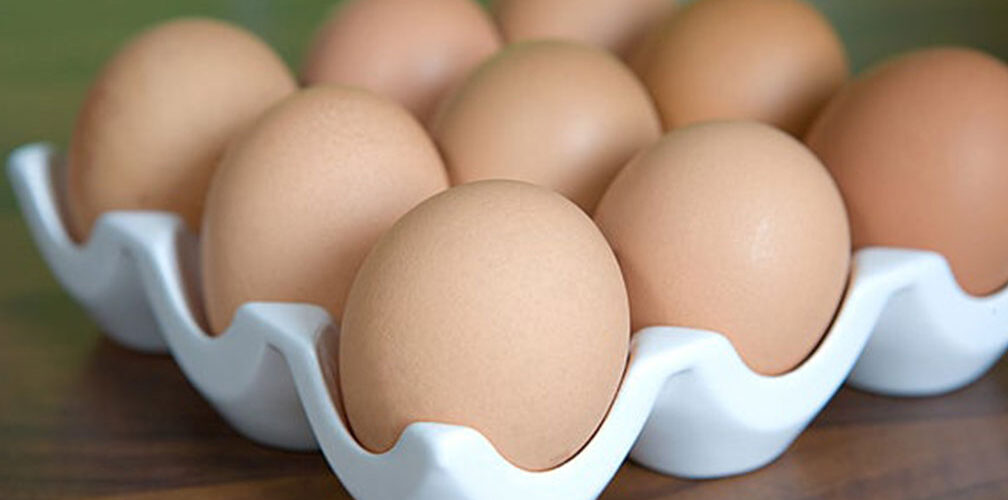 اجراءات عاجلة لوقف ارتفاع أسعار البيض   