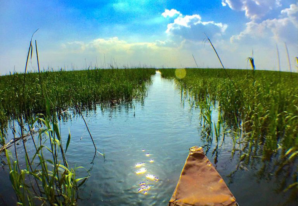 هور أم النعاج: أحد أهوار جنوب العراق