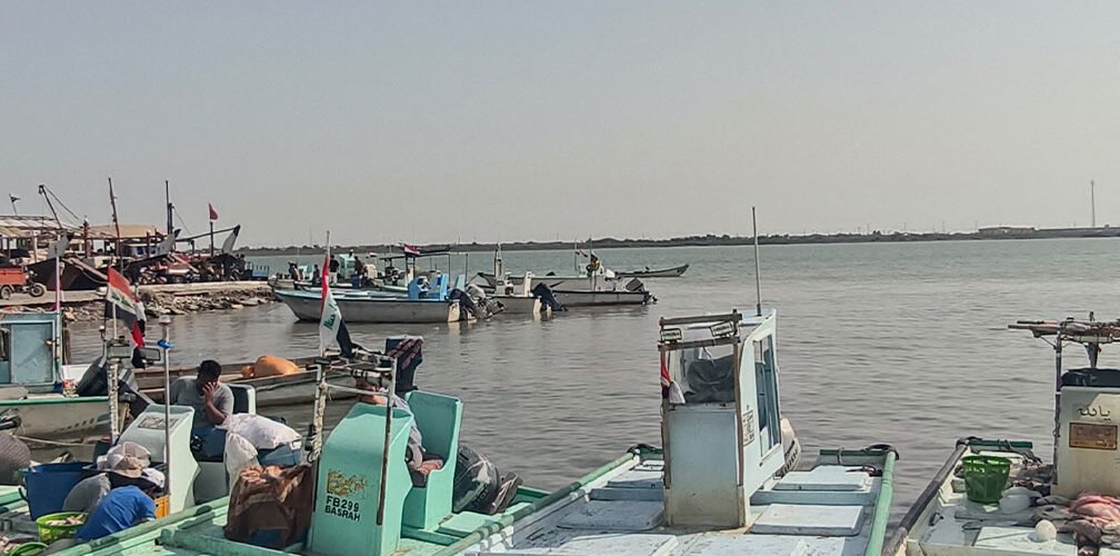 الفاو