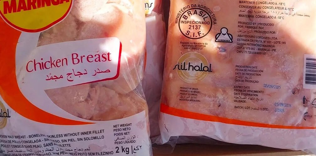دجاج