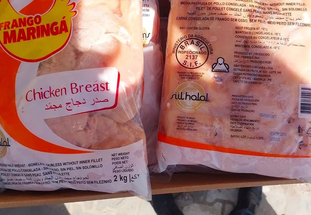 دجاج